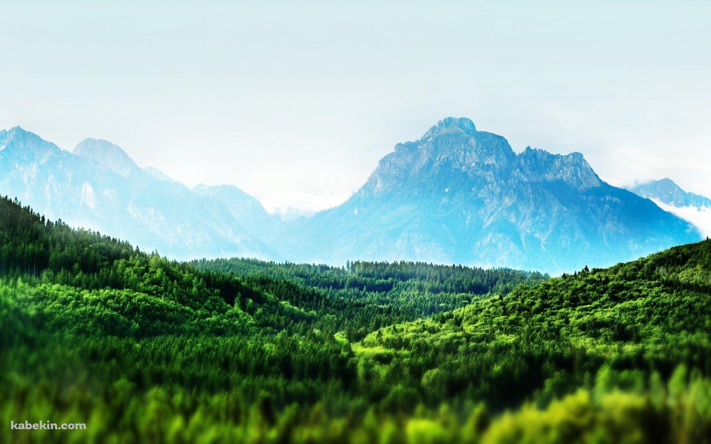 めちゃくちゃ綺麗な広大な森と遠くに見える山 / 夏の景色の壁紙(1440px x 900px) 高画質 PC・デスクトップ用