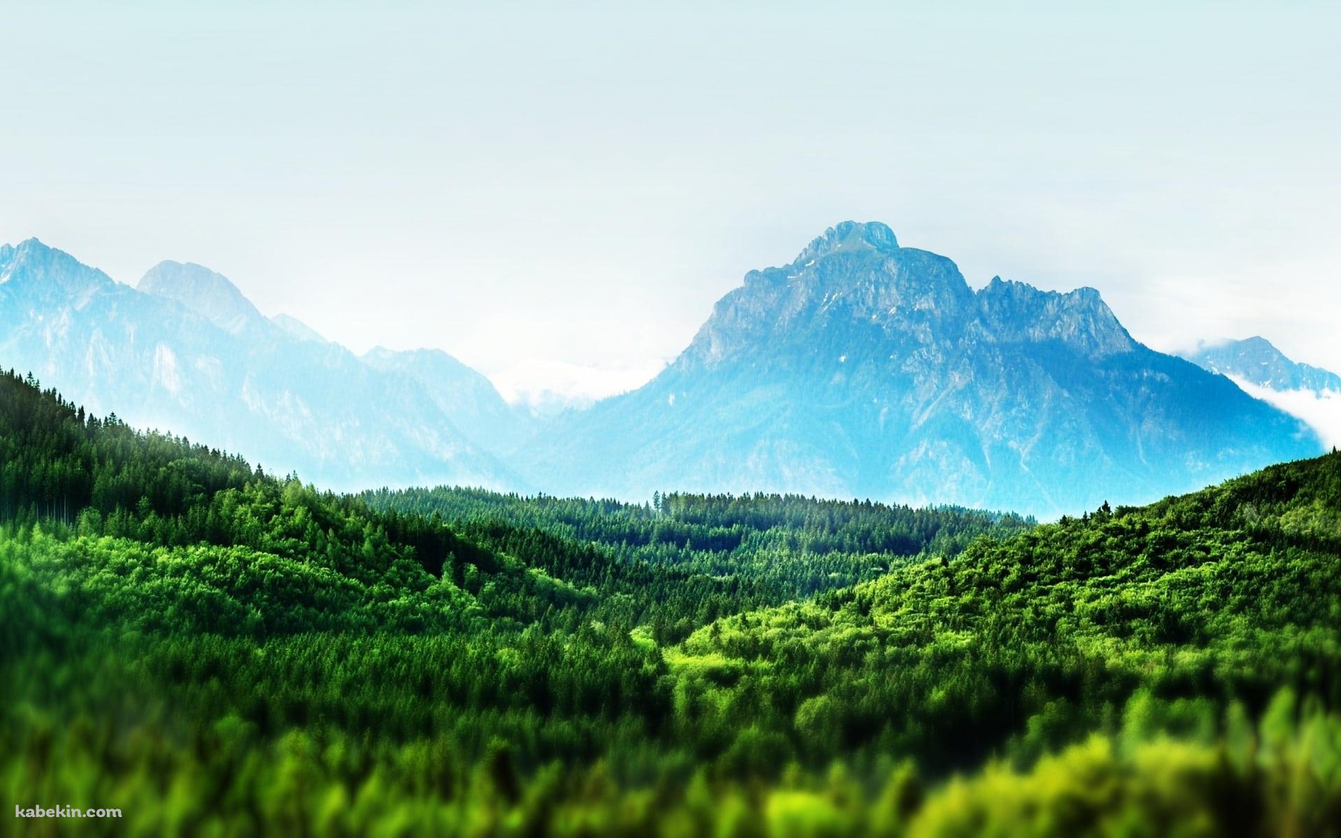めちゃくちゃ綺麗な広大な森と遠くに見える山 / 夏の景色(1920x1200px