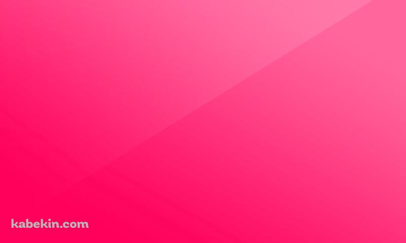 綺麗なピンク / グラデーションの壁紙(800px x 480px) 高画質 PC・デスクトップ用