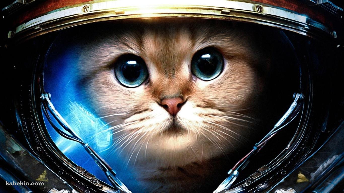 宇宙に行く猫の壁紙(1366px x 768px) 高画質 PC・デスクトップ用