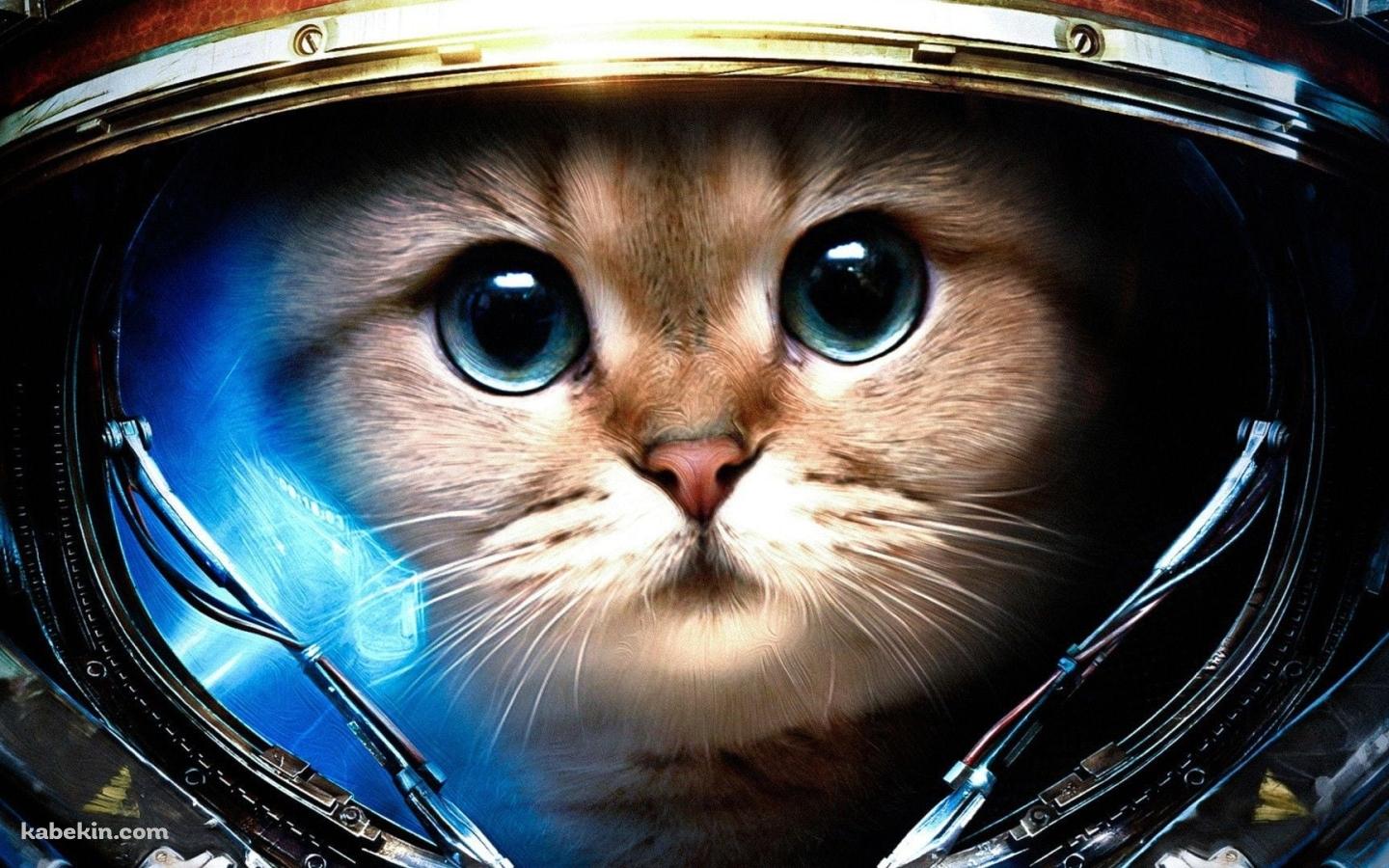 宇宙に行く猫の壁紙(1440px x 900px) 高画質 PC・デスクトップ用