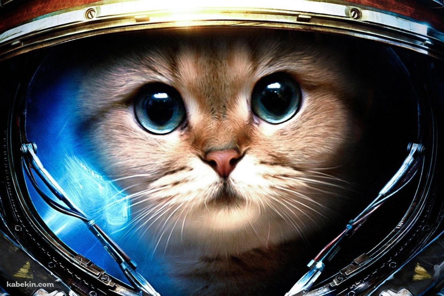 宇宙に行く猫の壁紙(1440px x 960px) 高画質 PC・デスクトップ用