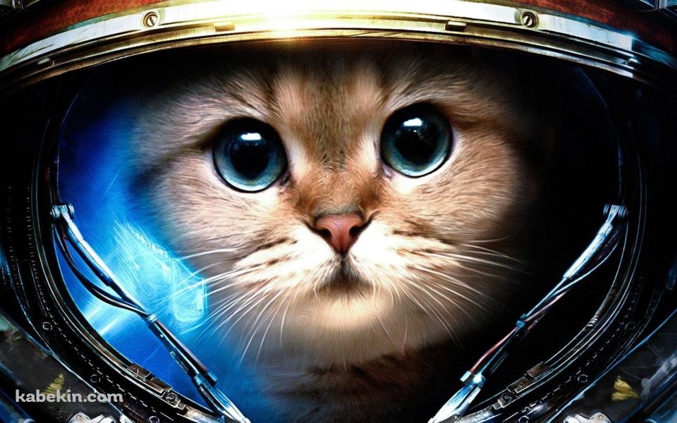 宇宙に行く猫の壁紙(960px x 600px) 高画質 PC・デスクトップ用