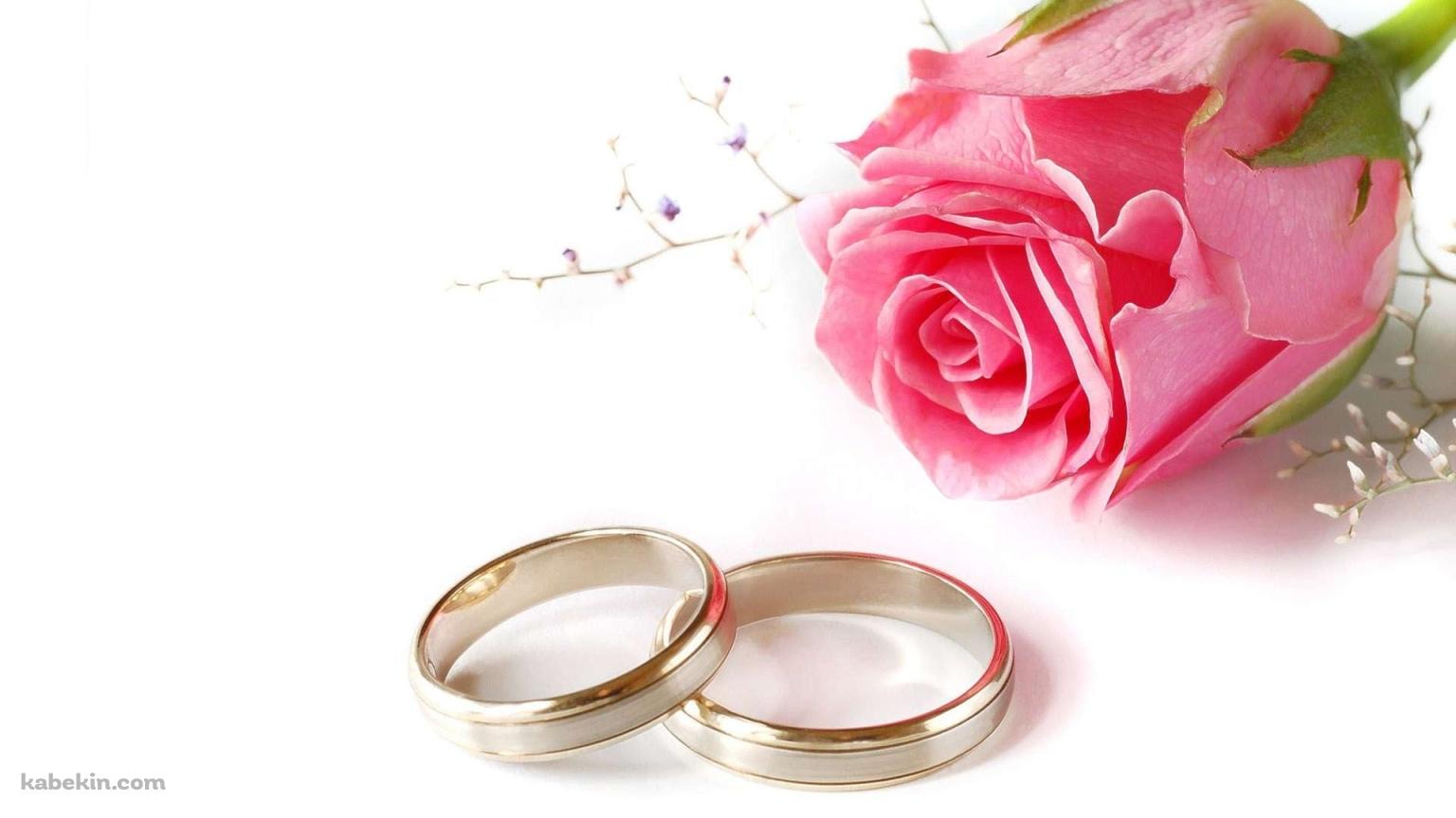 結婚指輪とピンクの薔薇の壁紙(1536px x 864px) 高画質 PC・デスクトップ用
