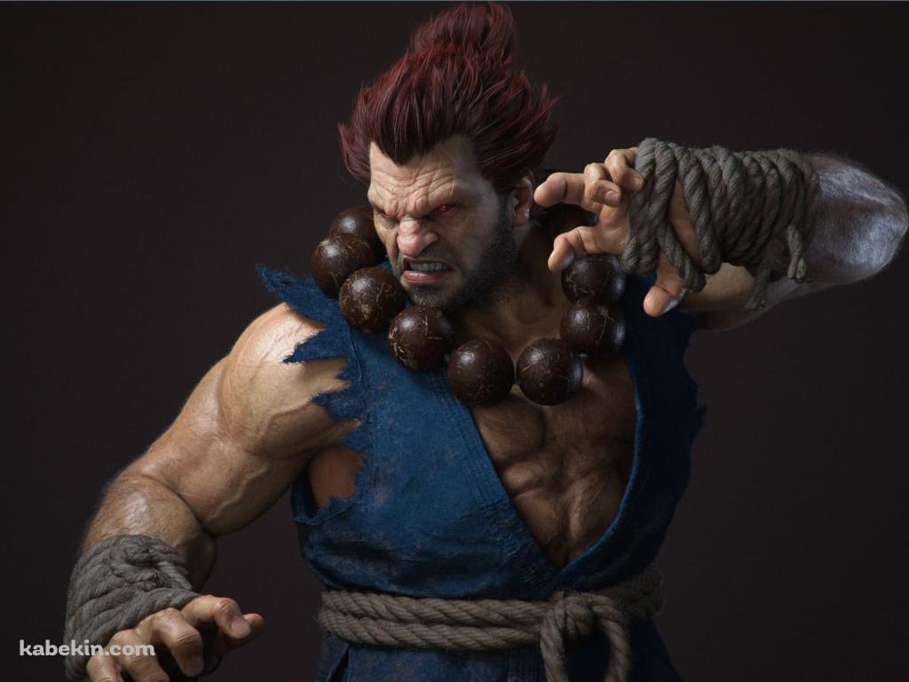 豪鬼 / Akuma / ストリートファイター / リアルの壁紙(1024px x 768px) 高画質 PC・デスクトップ用