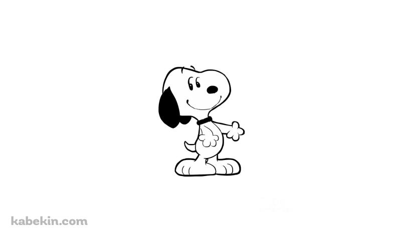 スヌーピー / Snoopy / 白 / シンプルの壁紙(800px x 480px) 高画質 PC・デスクトップ用