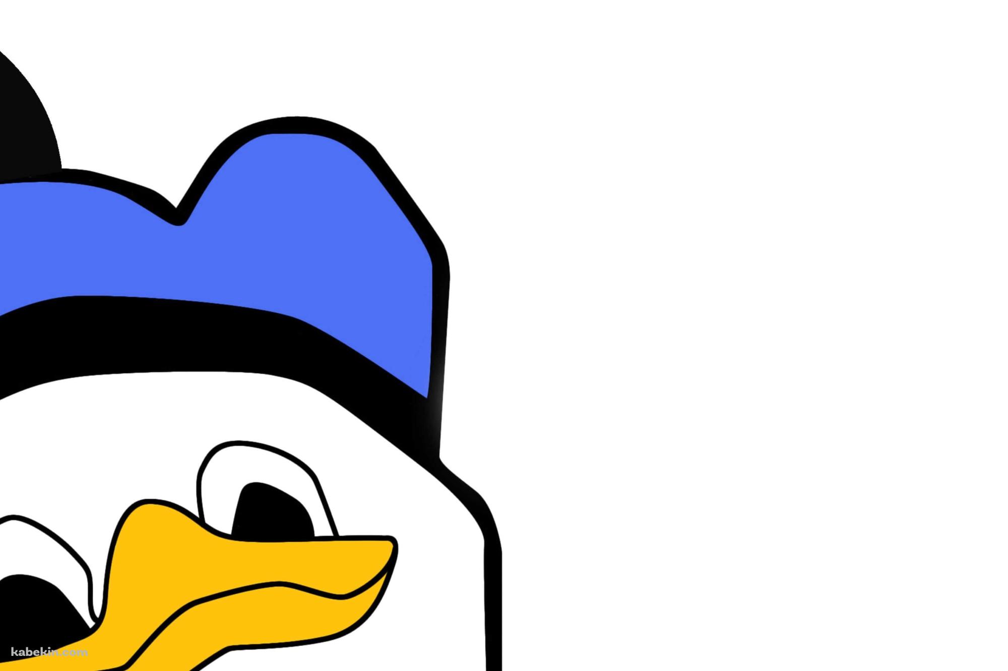 Dolan Duckの壁紙(2000px x 1333px) 高画質 PC・デスクトップ用