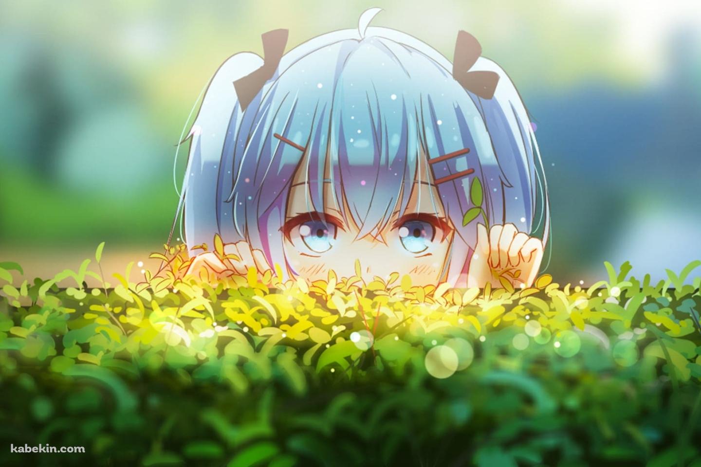 垣根から覗き込む初音ミク / ファンアートの壁紙(1440px x 960px) 高画質 PC・デスクトップ用