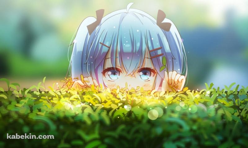 垣根から覗き込む初音ミク / ファンアートの壁紙(800px x 480px) 高画質 PC・デスクトップ用
