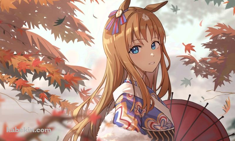 紅葉とグラスワンダー / Grass Wonder / ウマ娘 プリティーダービー / ファンアートの壁紙(800px x 480px) 高画質 PC・デスクトップ用