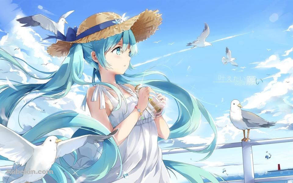 麦わら帽子を被ったかわいい初音ミクとカモメ / ボカロ / ボーカロイド / ファンアートの壁紙(960px x 600px) 高画質 PC・デスクトップ用