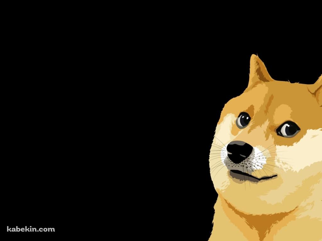 柴犬 / ミーム / memeの壁紙(1024px x 768px) 高画質 PC・デスクトップ用