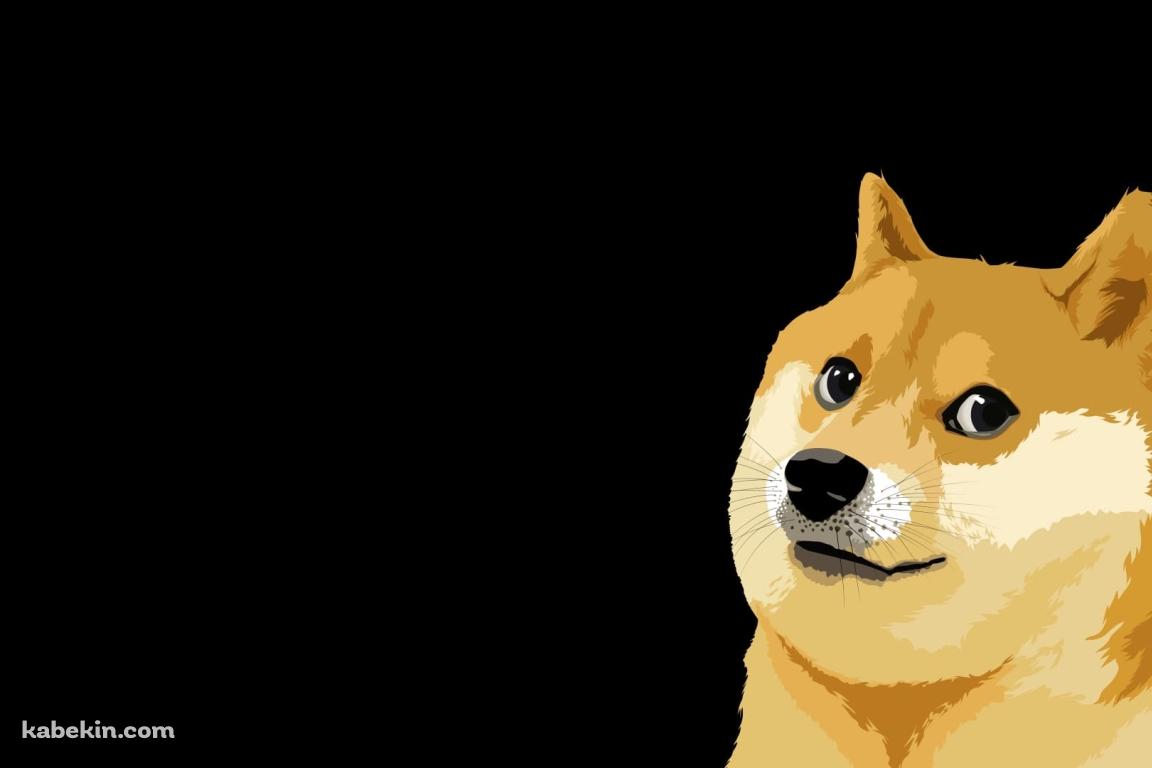 柴犬 / ミーム / memeの壁紙(1152px x 768px) 高画質 PC・デスクトップ用
