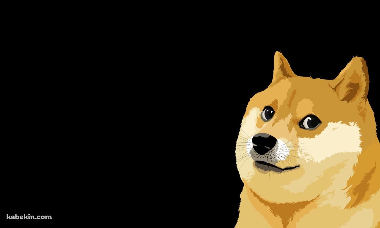 柴犬 / ミーム / memeの壁紙(1280px x 768px) 高画質 PC・デスクトップ用