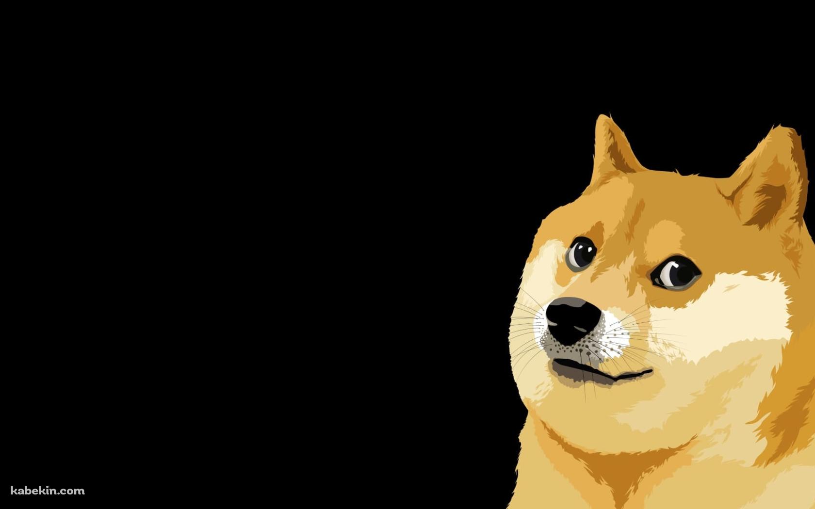 柴犬 / ミーム / memeの壁紙(1680px x 1050px) 高画質 PC・デスクトップ用