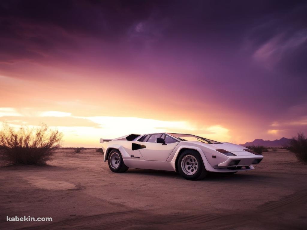 荒野に停車する白のランボルギーニ カウンタックの壁紙(1024px x 768px) 高画質 PC・デスクトップ用