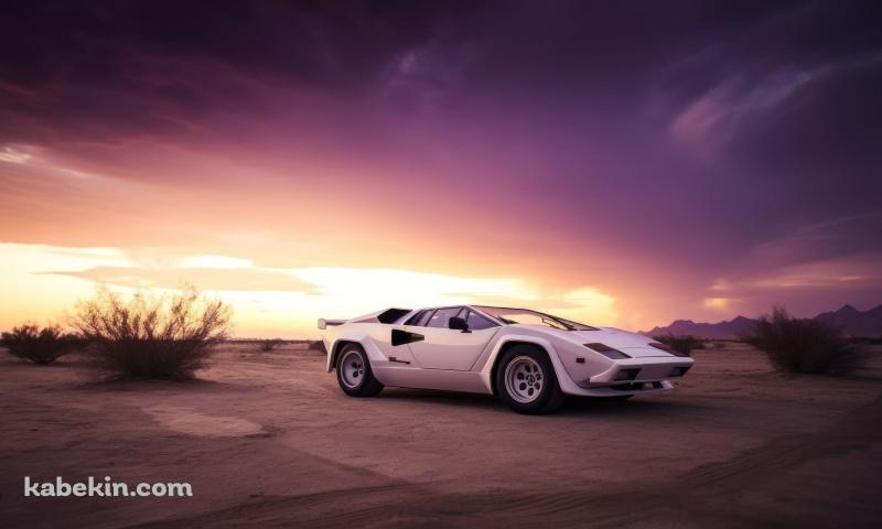 荒野に停車する白のランボルギーニ カウンタックの壁紙(800px x 480px) 高画質 PC・デスクトップ用