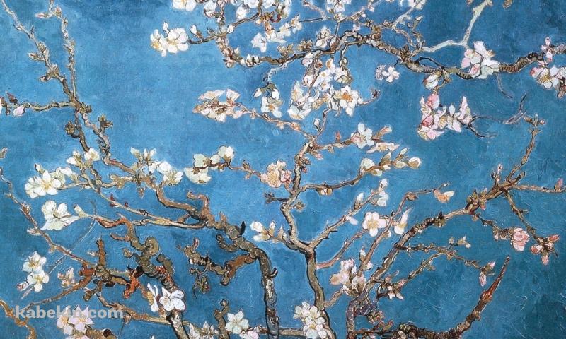 Vincent van gogh / ゴッホ / 花の絵 / 花咲くアーモンドの木の枝の壁紙(800px x 480px) 高画質 PC・デスクトップ用