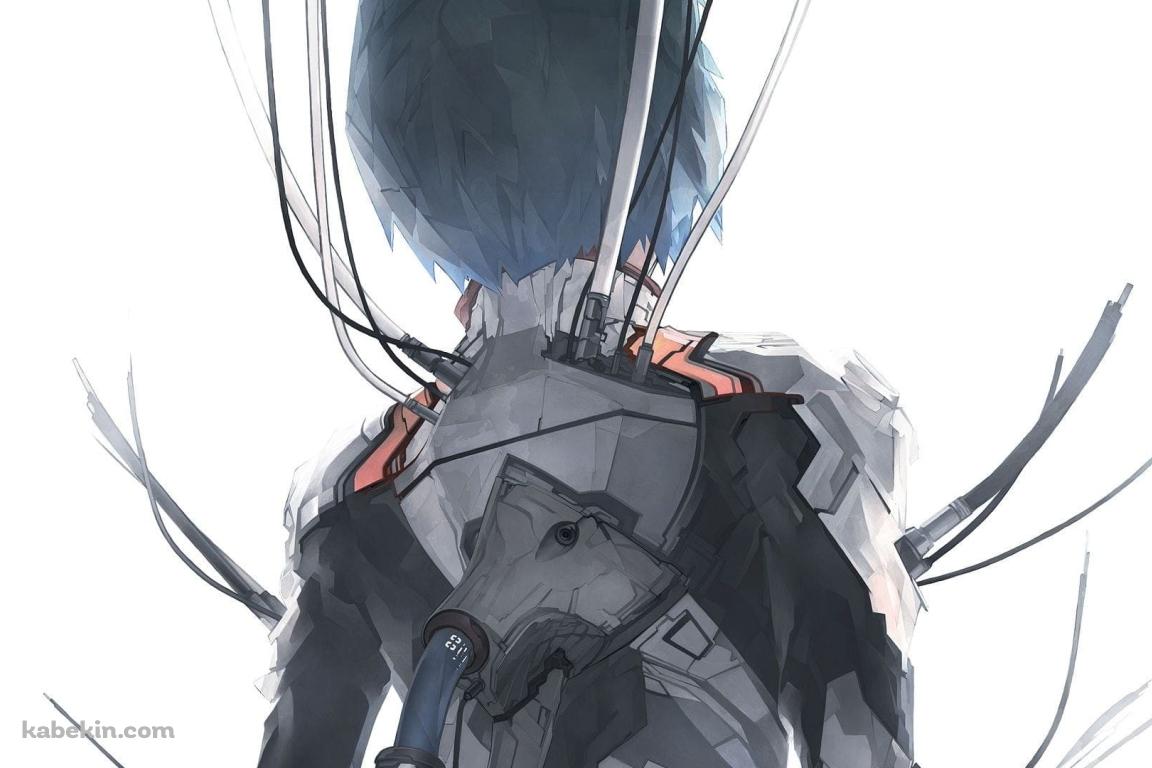綾波レイ / 背中 / プラグスーツ / 新世紀エヴァンゲリオンの壁紙(1152px x 768px) 高画質 PC・デスクトップ用