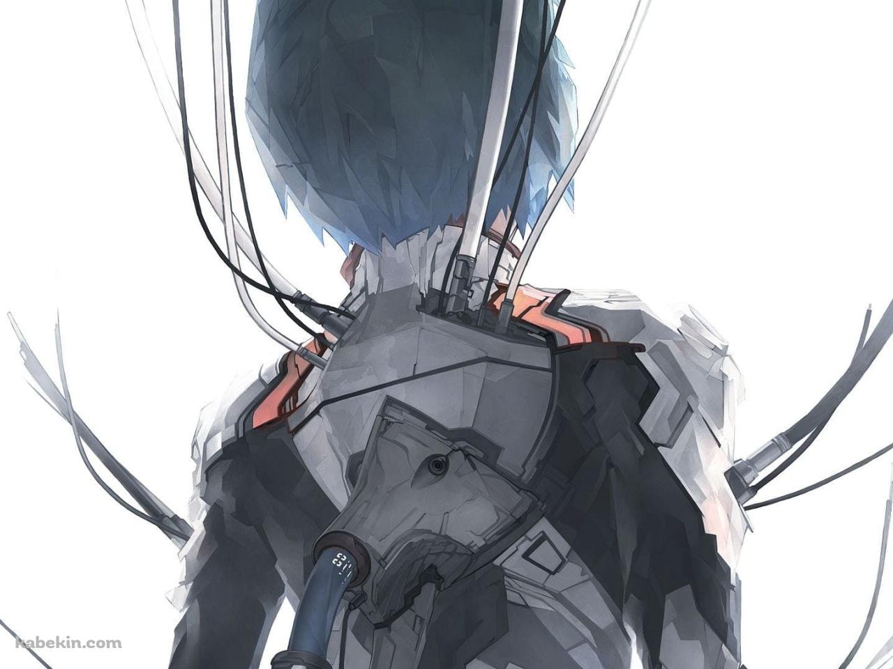 綾波レイ / 背中 / プラグスーツ / 新世紀エヴァンゲリオンの壁紙(1280px x 960px) 高画質 PC・デスクトップ用