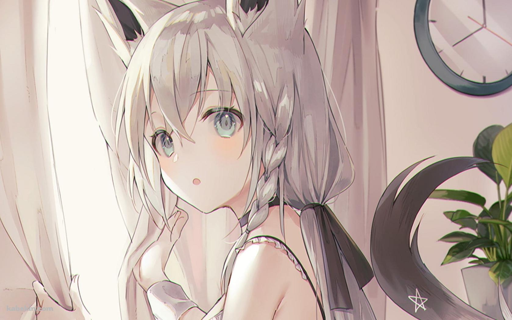 カーテンを持ちながらこちらを振り返る白上フブキ / バーチャルYouTuber / ホロライブの壁紙(1680px x 1050px) 高画質 PC・デスクトップ用