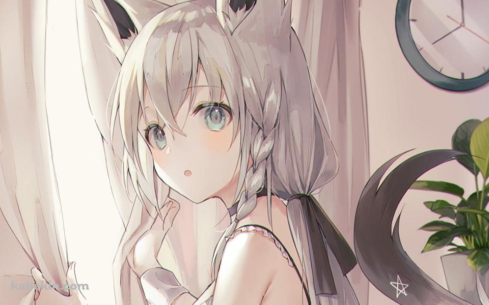 カーテンを持ちながらこちらを振り返る白上フブキ / バーチャルYouTuber / ホロライブの壁紙(960px x 600px) 高画質 PC・デスクトップ用