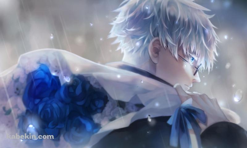 雨の中、青い薔薇の花束を持つ五条悟 / 呪術廻戦の壁紙(800px x 480px) 高画質 PC・デスクトップ用
