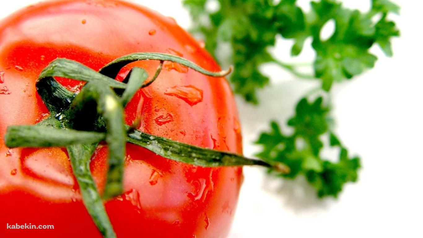 水滴のついたみずみずしいトマトの壁紙(1366px x 768px) 高画質 PC・デスクトップ用