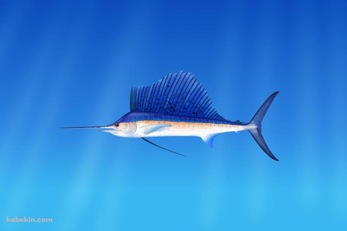 水中のカジキ / イラストの壁紙(1152px x 768px) 高画質 PC・デスクトップ用