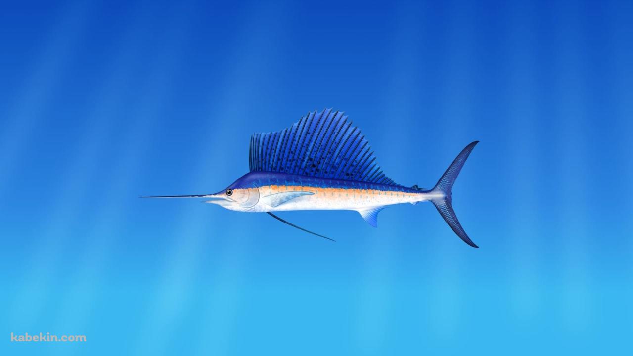 水中のカジキ / イラストの壁紙(1280px x 720px) 高画質 PC・デスクトップ用