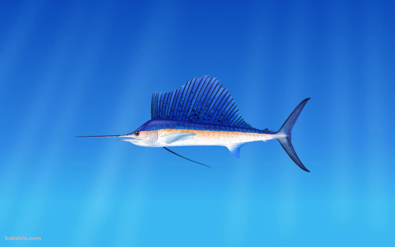 水中のカジキ / イラストの壁紙(1680px x 1050px) 高画質 PC・デスクトップ用