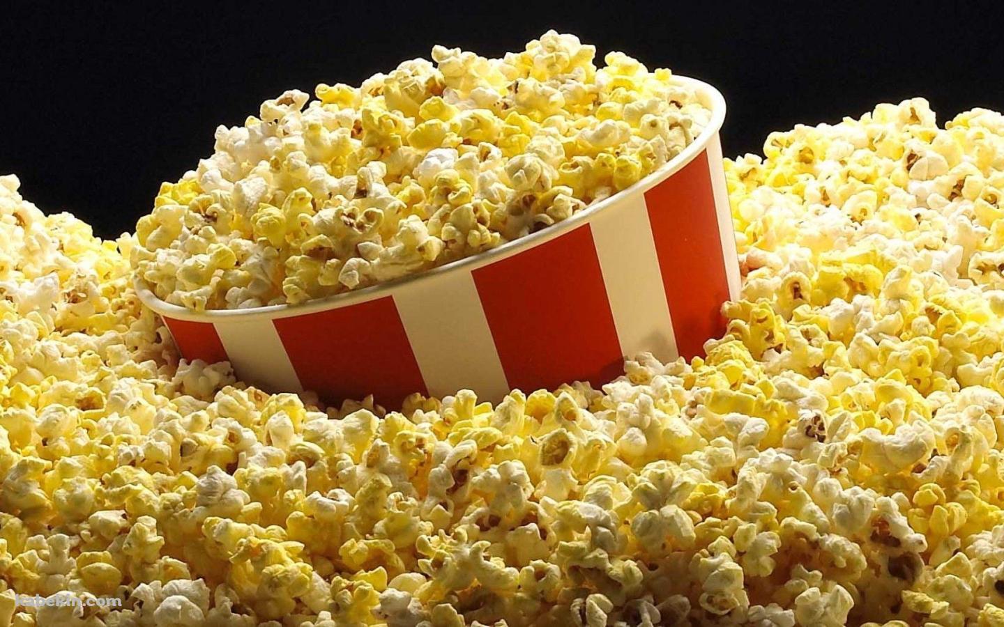 ポップコーン / Popcornの壁紙(1440px x 900px) 高画質 PC・デスクトップ用
