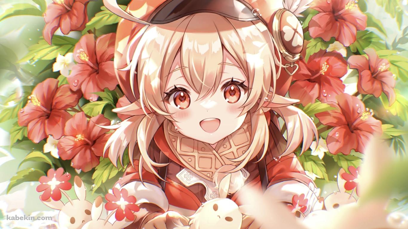 めちゃくちゃ可愛いクレーとドドコ / 赤いハイビスカス / 原神の壁紙(1366px x 768px) 高画質 PC・デスクトップ用