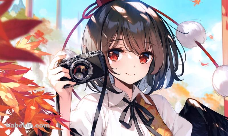 カメラを持つ射命丸文(しゃめいまる あや) / 東方 / ファンアート / イラストの壁紙(800px x 480px) 高画質 PC・デスクトップ用