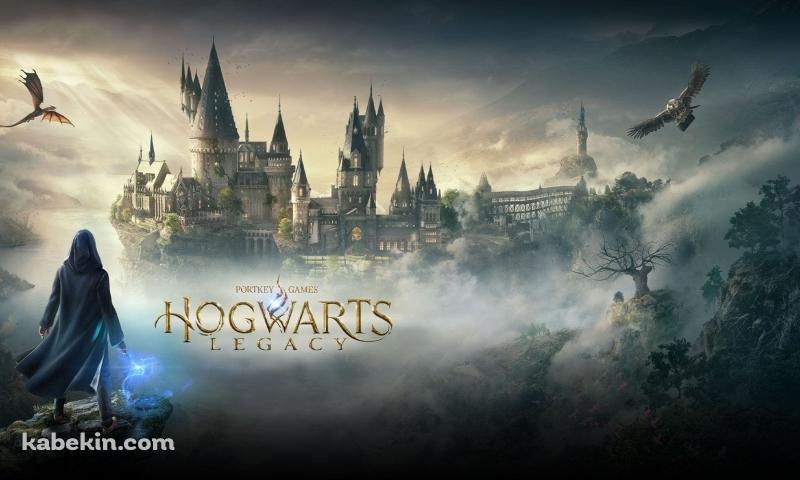 ホグワーツ・レガシー / Hogwarts Legacy / ハリー・ポッター / ゲームの壁紙(800px x 480px) 高画質 PC・デスクトップ用