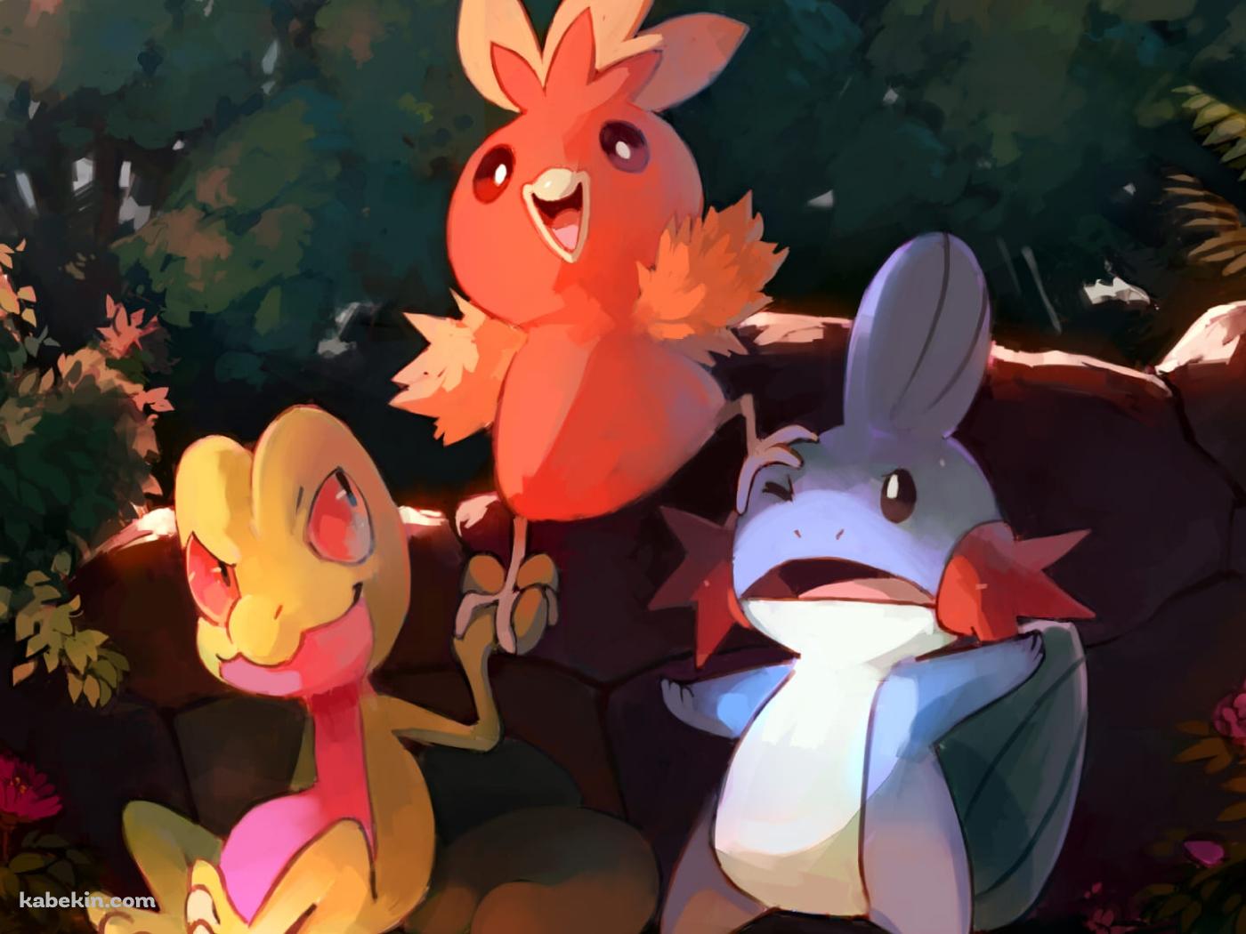 ミズゴロウ / アチャモ / キモリ / ポケモンの壁紙(1400px x 1050px) 高画質 PC・デスクトップ用