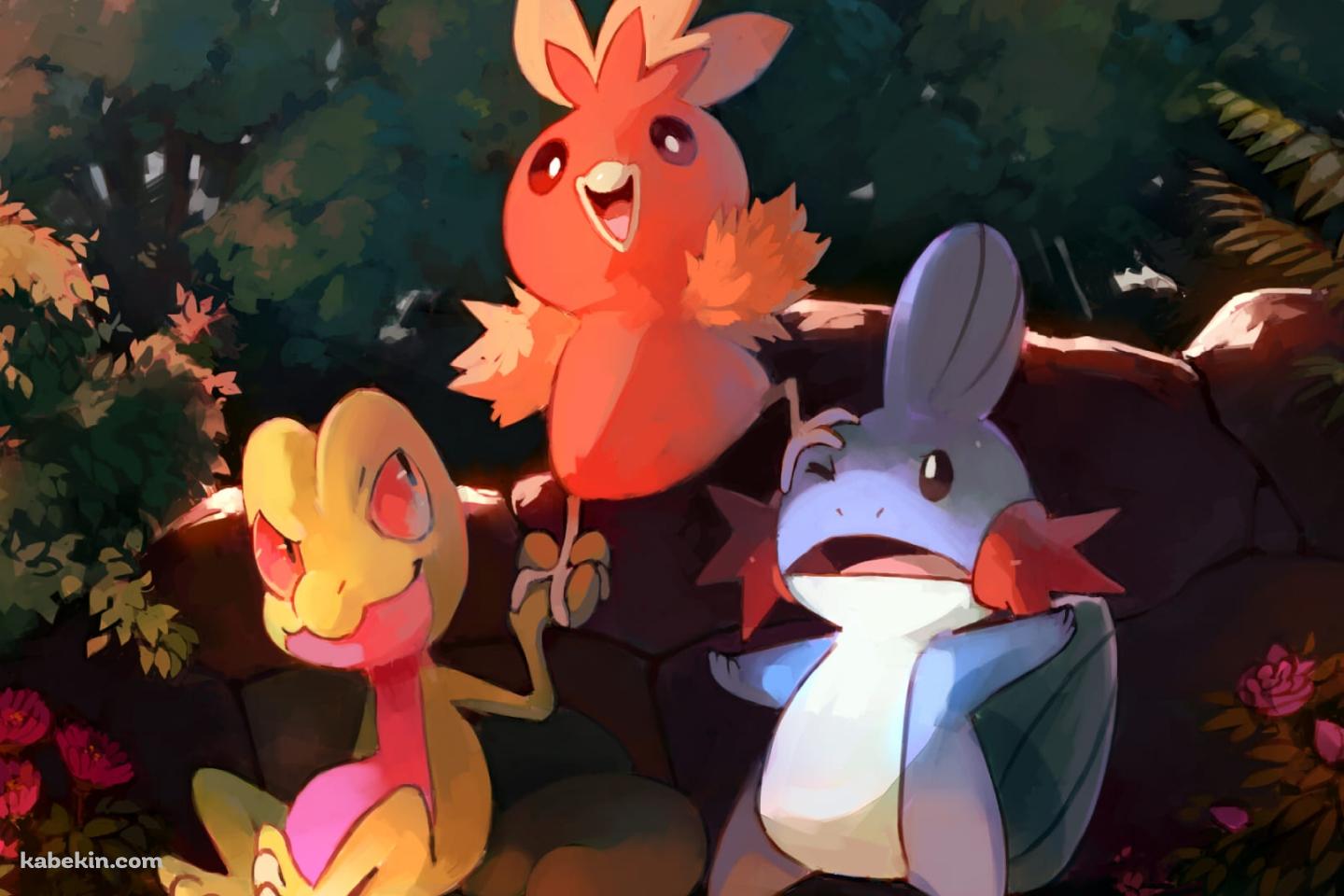 ミズゴロウ / アチャモ / キモリ / ポケモンの壁紙(1440px x 960px) 高画質 PC・デスクトップ用