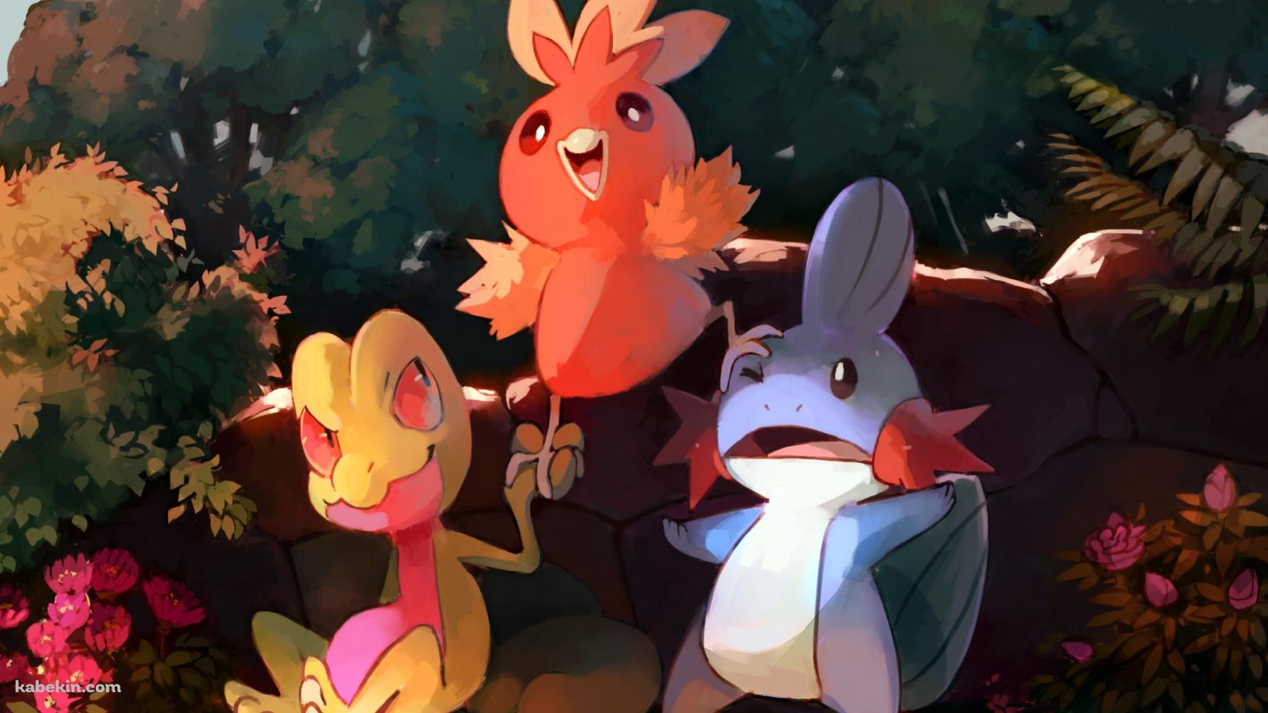 ミズゴロウ / アチャモ / キモリ / ポケモンの壁紙(1829px x 1029px) 高画質 PC・デスクトップ用