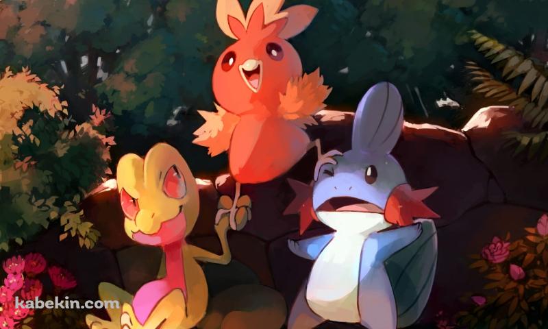 ミズゴロウ / アチャモ / キモリ / ポケモンの壁紙(800px x 480px) 高画質 PC・デスクトップ用