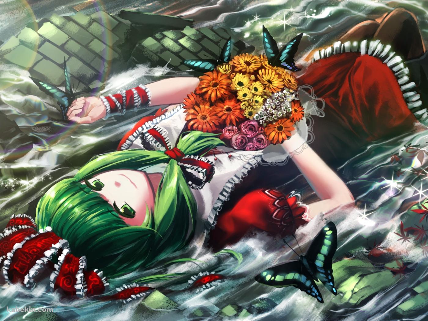 水に浸かる鍵山雛 / 東方の壁紙(1400px x 1050px) 高画質 PC・デスクトップ用