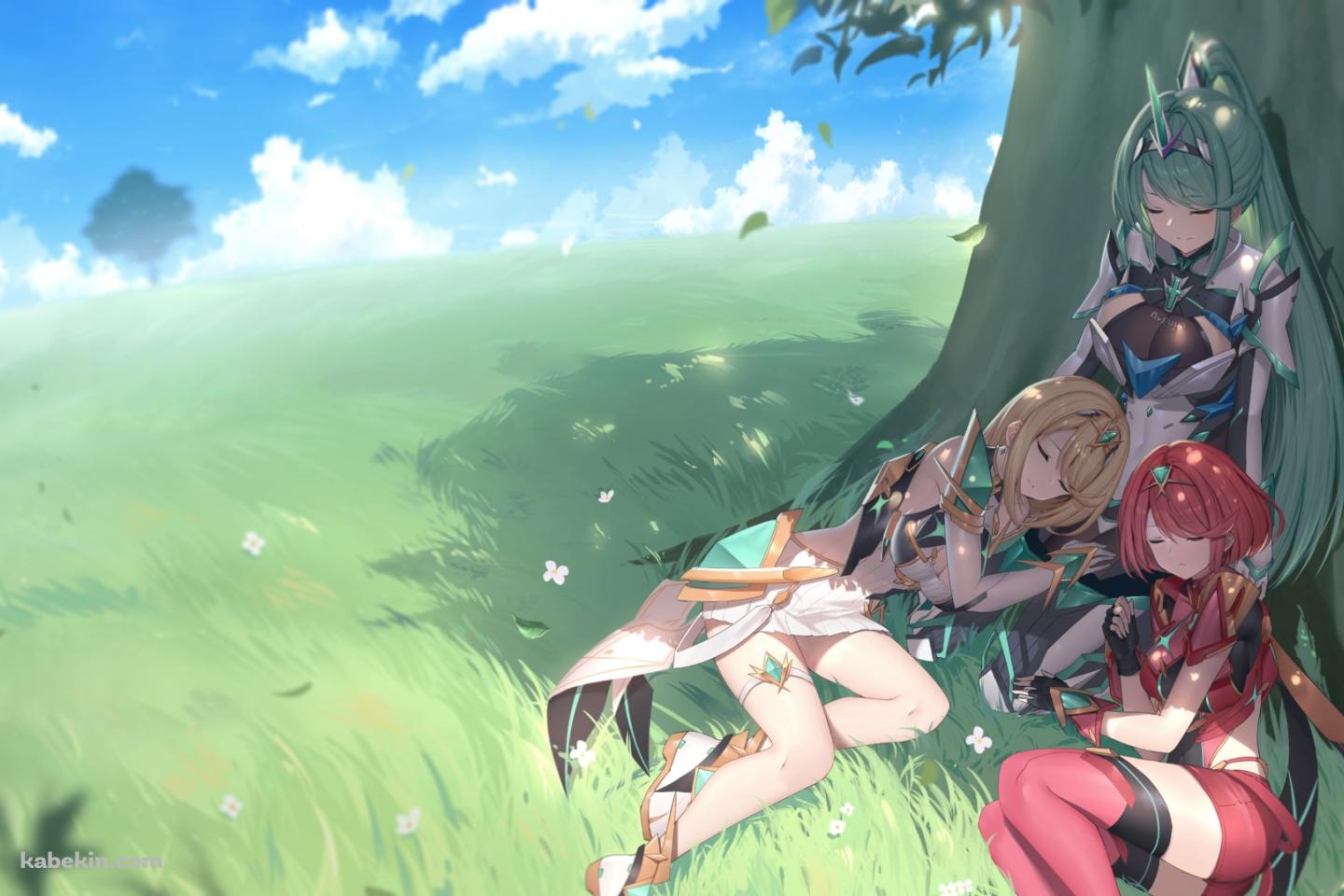 木の下でお昼寝するホムラ / ヒカリ / プネウマ / ゼノブレイドの壁紙(1440px x 960px) 高画質 PC・デスクトップ用