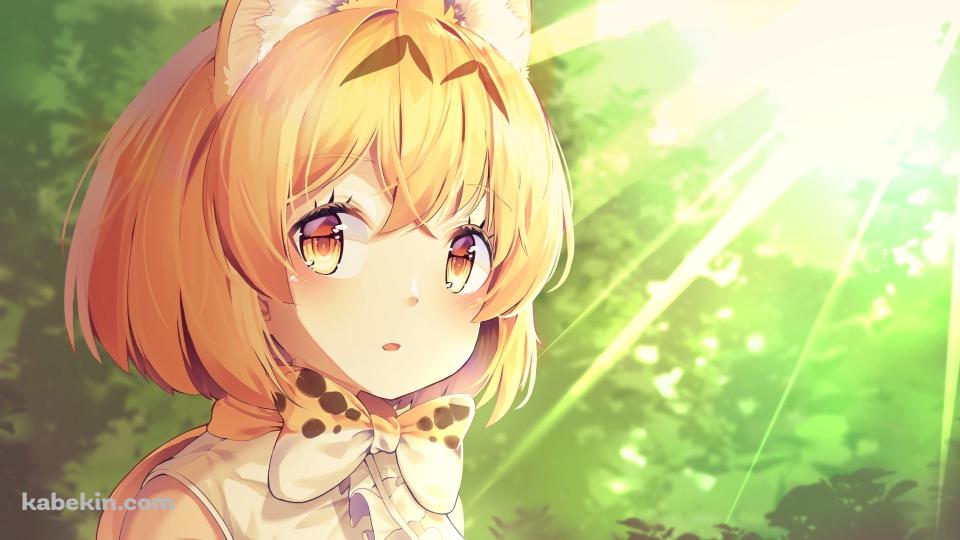 光射す森 / かわいいサーバル / けものフレンズ / ファンアート / イラストの壁紙(960px x 540px) 高画質 PC・デスクトップ用