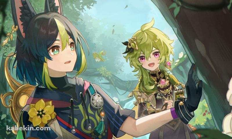 木を触るティナリとコレイ / かわいい / 原神の壁紙(800px x 480px) 高画質 PC・デスクトップ用