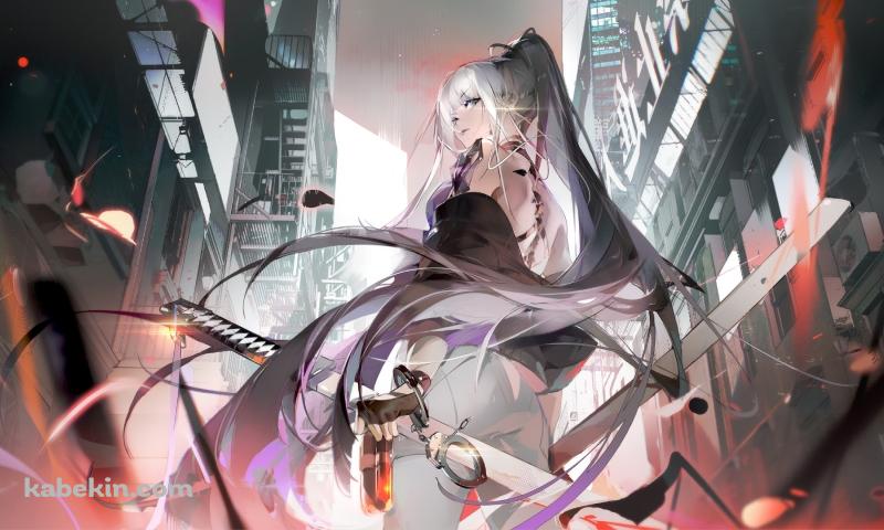 刀を持ち振り向く銀髪の女性 / かっこいい / 二刀流の壁紙(800px x 480px) 高画質 PC・デスクトップ用