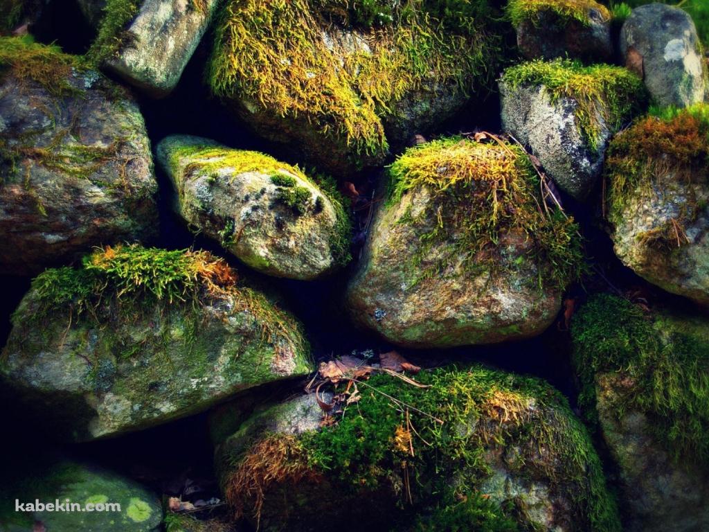 苔むした自然の岩の壁紙(1024px x 768px) 高画質 PC・デスクトップ用