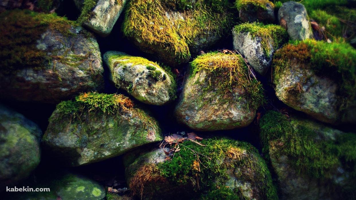 苔むした自然の岩の壁紙(1242px x 698px) 高画質 PC・デスクトップ用