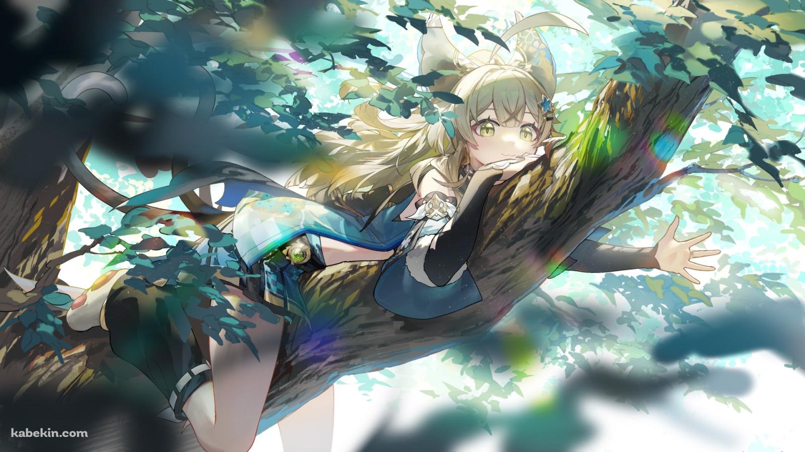 木に寝そべりこちらに手を振る可愛い綺良々 / 原神の壁紙(1600px x 900px) 高画質 PC・デスクトップ用