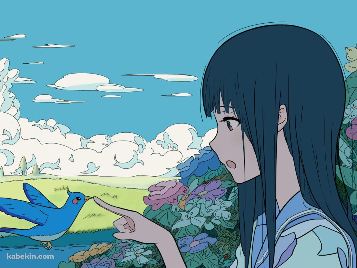 青い鳥と戯れる鎧塚 みぞれ / 響け!ユーフォニアム / リズと青い鳥の壁紙(1152px x 864px) 高画質 PC・デスクトップ用