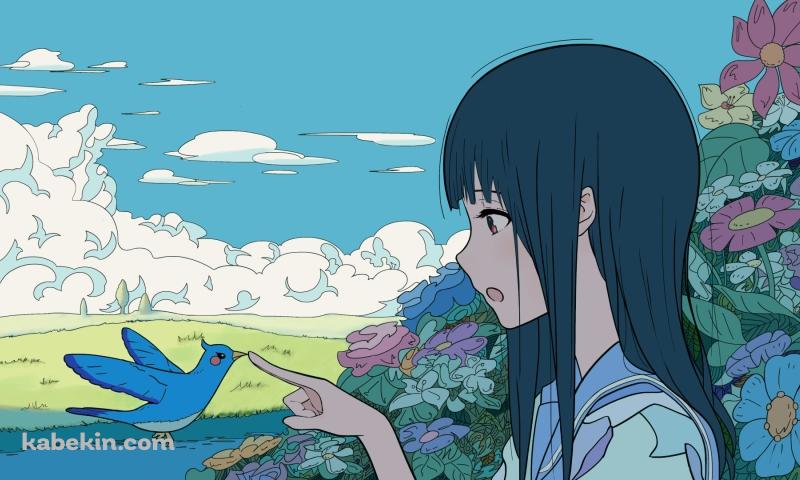 青い鳥と戯れる鎧塚 みぞれ / 響け!ユーフォニアム / リズと青い鳥の壁紙(800px x 480px) 高画質 PC・デスクトップ用