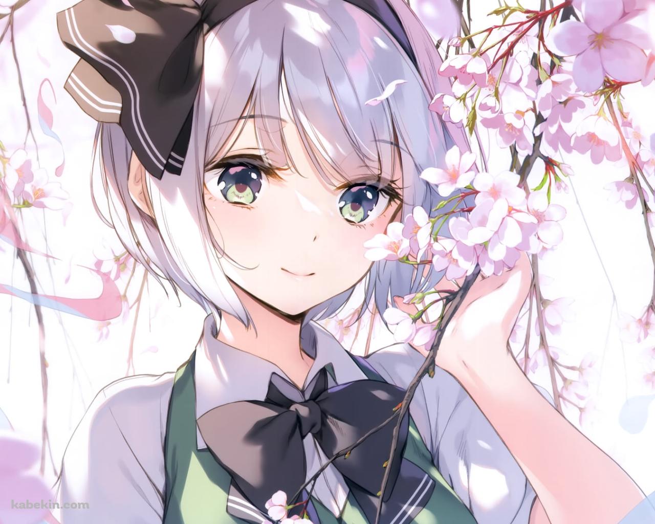 桜の花とかわいい魂魄妖夢（こんぱく ようむ） / 春 / 東方の壁紙(1280px x 1024px) 高画質 PC・デスクトップ用